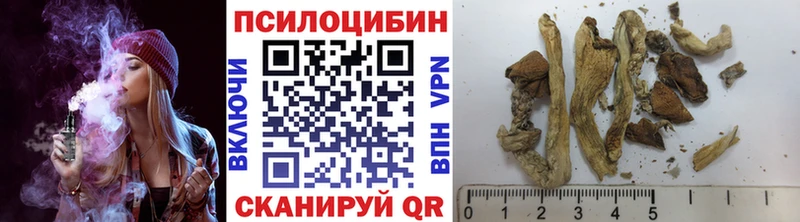 mega зеркало  Гаврилов-Ям  Псилоцибиновые грибы MAGIC MUSHROOMS  наркота 